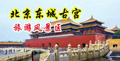 骚美女在线观看中国北京-东城古宫旅游风景区
